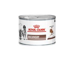 کنسرو ریکاوری سگ و گربه رویال کنین Recovery وزن 195 گرم