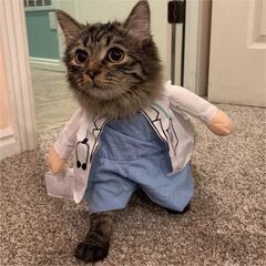 لباس گربه مدل دکتر کمر کش نخی سایز مدیوم