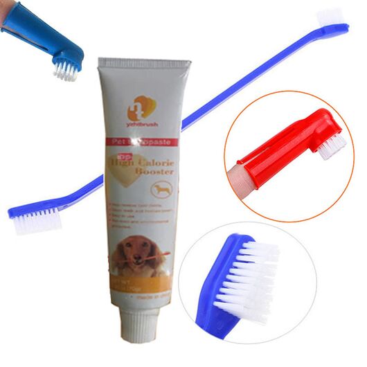 ست مسواک و خمیر دندان سگ و گربه Dental Care با خمیر 70 گرمی, 2 image