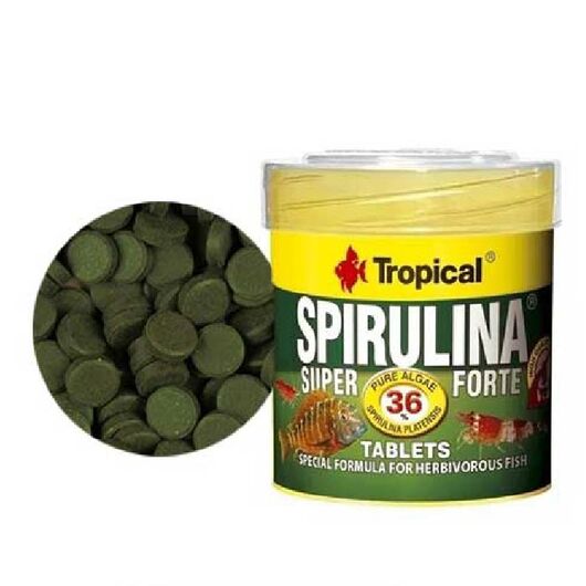 غذای ماهی قرصی سوپر اسپیرولینا فورت تروپیکال Super Spirulina Forte حاوی 40 قرص