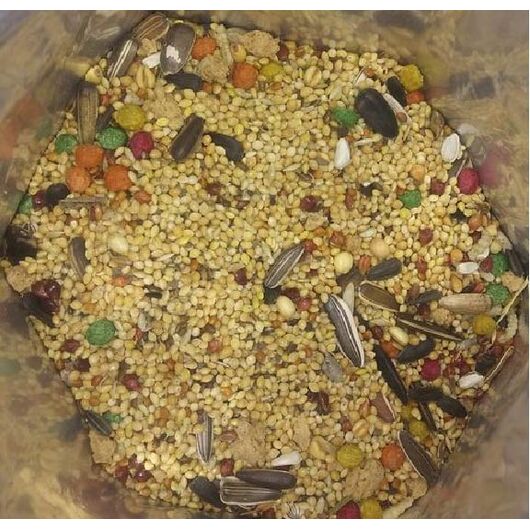 غذای طوطی سانان کوچک بلو وزن 950 گرم, 2 image