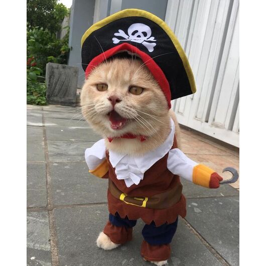 کاستوم یا لباس گربه مدل دزد دریایی کمر کش نخی سایز مدیوم